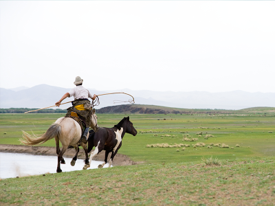 一万頭の馬祭り | Jiguur
