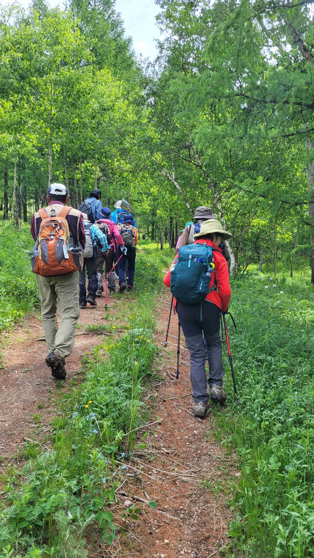 テレルジ国立公園・モンゴルオルレ（遊歩道）フラワーハイキングコースができています！(1) | Jiguur