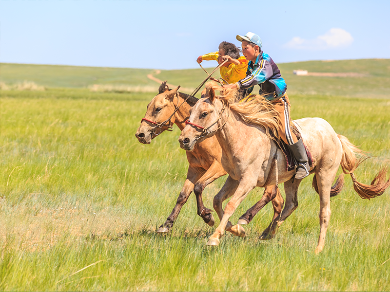 Mongol Naadam 