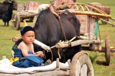 MONGOLIAN CULINARY EXPERIENCE