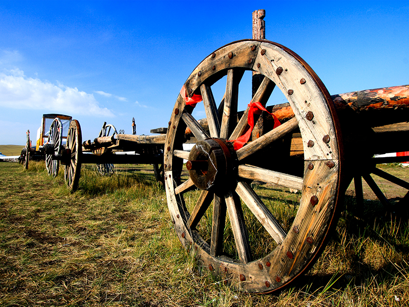 One day in Mongolia Tour(0) | Jiguur